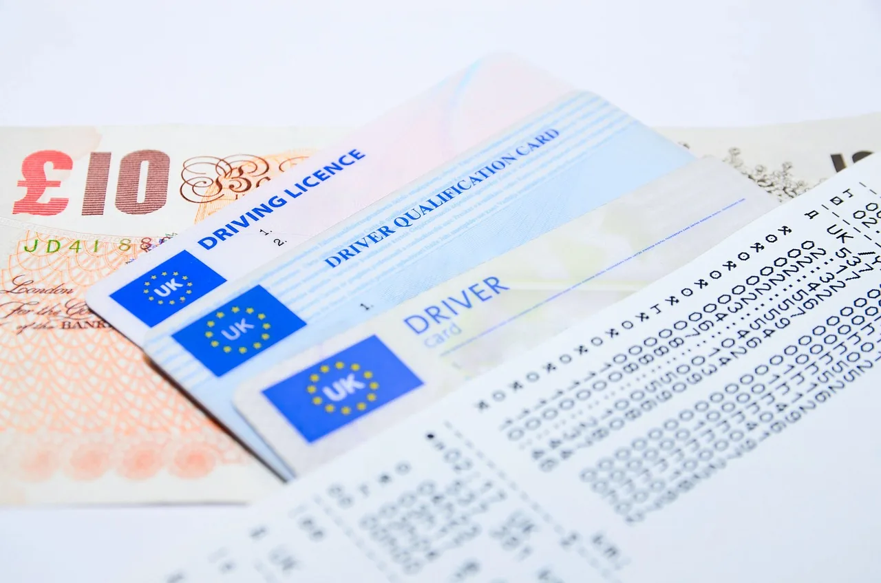 plazo renovacion carnet conducir