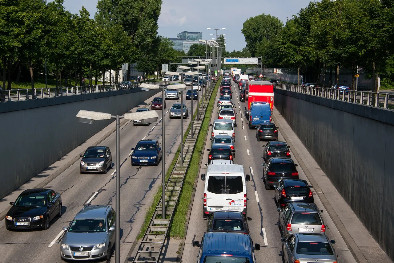como se renueva el carnet de conducir